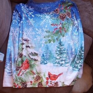 Blue Winter Wonderland and Cardinals Shirt, Size small, Christmas